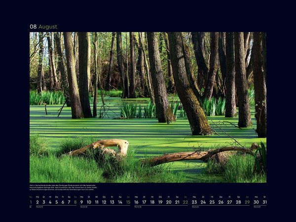 Produktbild: Wildnis Deutschland - KUNTH Wandkalender 2027