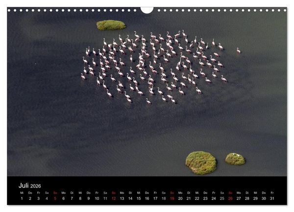 Produktbild: V&ouml;gel & Landschaften (Wandkalender 2026 DIN A3 quer), CALVENDO Monatskalender