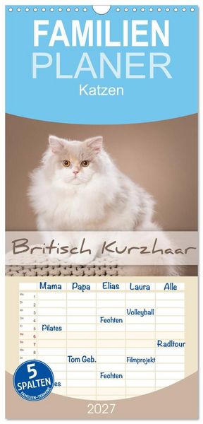 Produktbild: Familienplaner 2027 - Die Britisch Kurzhaar Katze mit 5 Spalten (Wandkalender, 21 x 45 cm) CALVENDO