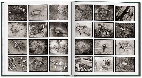Produktbild: Peter Beard