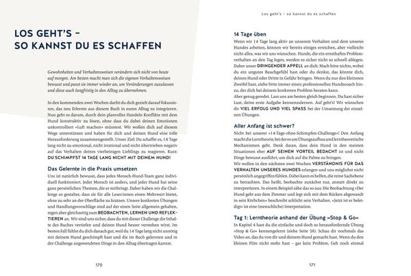 Produktbild: Hunde erziehen ohne Schimpfen