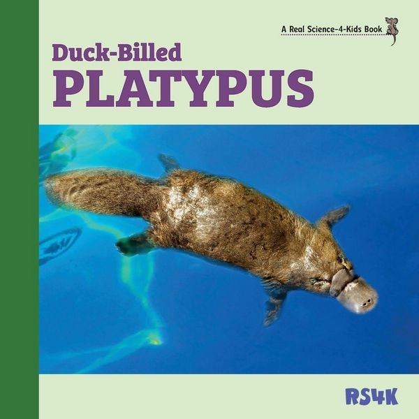 Produktbild: Duck-billed Platypus
