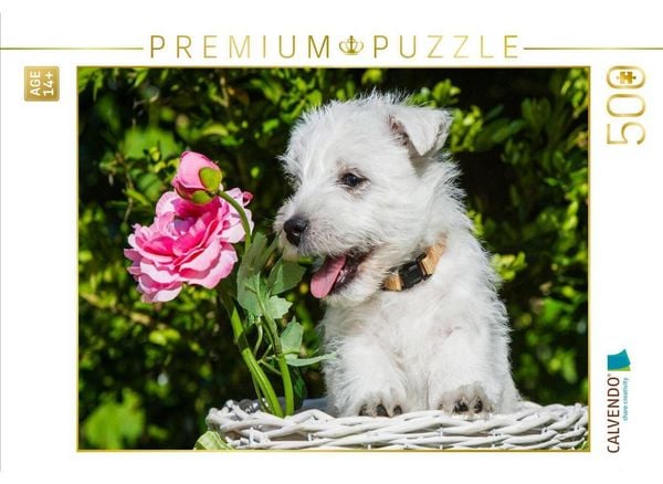 CALVENDO Puzzle Ein Motiv aus dem Kalender Kobold auf 4 Pfoten - West Highland White Terrier | 500 Teile Lege-Größe 48 × 36 cm Foto-Puzzle für Erwachsene
