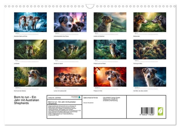 Produktbild: Born to run - Ein Jahr mit Australian Shepherds (Wandkalender 2027 DIN A3 quer), CALVENDO Monatskalender