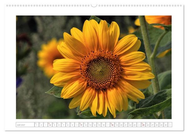 Produktbild: Sonnentage 2027 (hochwertiger Premium Wandkalender 2027 DIN A2 quer), Kunstdruck in Hochglanz