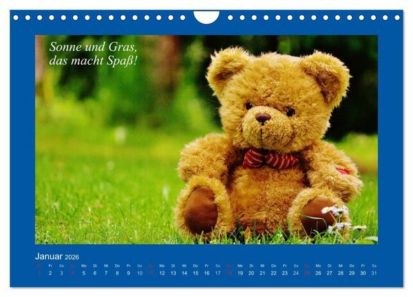 Produktbild: Sommer im Teddy-Land. B&auml;r und Freunde (Wandkalender 2026 DIN A4 quer), CALVENDO Monatskalender