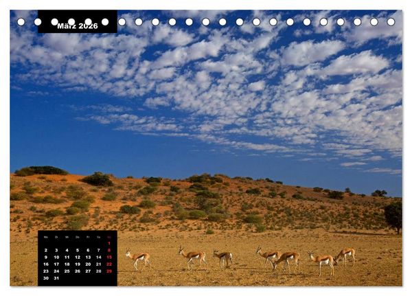 Produktbild: Blickpunkte des S&uuml;dlichen Afrika (Tischkalender 2026 DIN A5 quer), CALVENDO Monatskalender