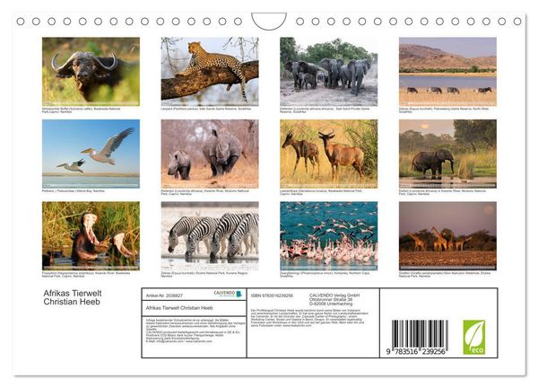 Produktbild: Afrikas Tierwelt Christian Heeb (Wandkalender 2026 DIN A4 quer), CALVENDO Monatskalender