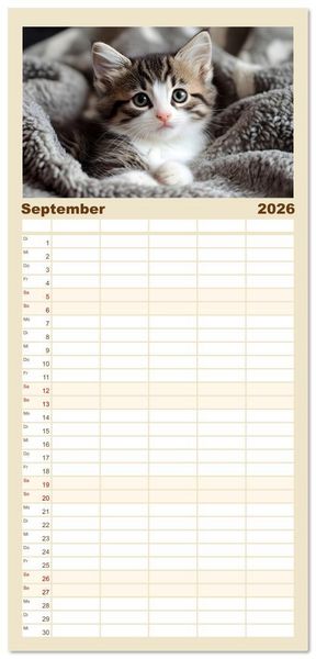 Produktbild: Familienplaner 2026 - Katzen - sanfte Sch&ouml;nheiten mit 5 Spalten (Wandkalender, 21 x 45 cm) CALVENDO