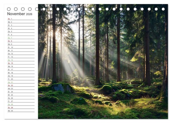 Produktbild: Gr&uuml;ne Zukunft (Tischkalender 2026 DIN A5 quer), CALVENDO Monatskalender