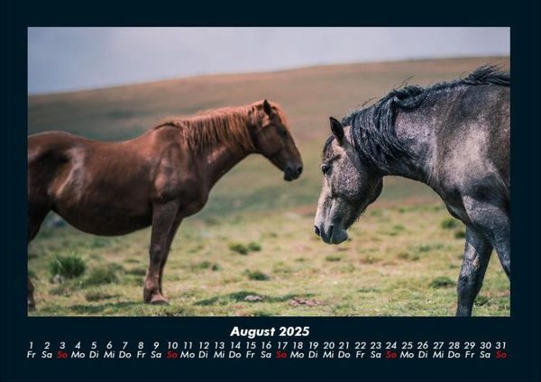 Produktbild: Die Welt der Pferde 2025 Fotokalender DIN A4