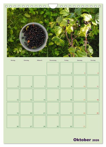 Produktbild: Gartenplaner (Wandkalender 2026 DIN A4 hoch), CALVENDO Monatskalender