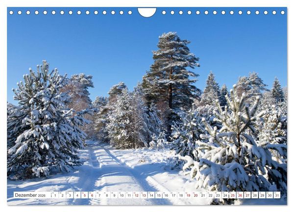 Produktbild: Die L&uuml;neburger Heide - Ausflugsziel im Norden (Wandkalender 2026 DIN A4 quer), CALVENDO Monatskalender
