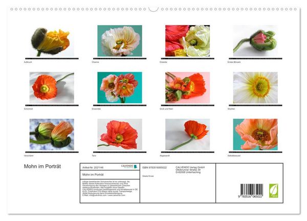 Produktbild: Mohn im Portr&auml;t (hochwertiger Premium Wandkalender 2026 DIN A2 quer), Kunstdruck in Hochglanz