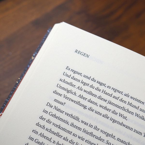 Produktbild: Die romantischen Hunde