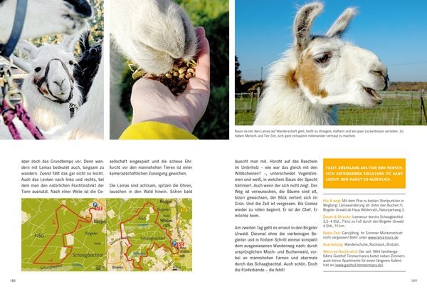 52 kleine & große Eskapaden am Niederrhein