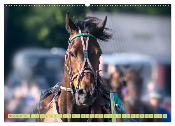 Produktbild: Rennpferde - Gesichter erz&auml;hlen (Wandkalender 2026 DIN A2 quer), CALVENDO Monatskalender