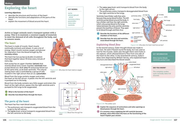 Produktbild: GCSE SCIENCE-AQA GCSE (9-1) B_