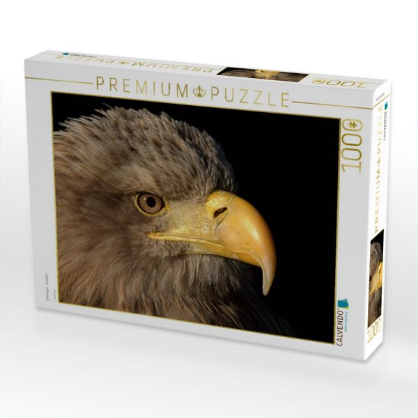 Produktbild: CALVENDO Puzzle Greifv&ouml;gel - Seeadler | 1000 Teile Lege-Gr&ouml;&szlig;e 64x48cm Foto-Puzzle f&uuml;r gl&uuml;ckliche Stunden