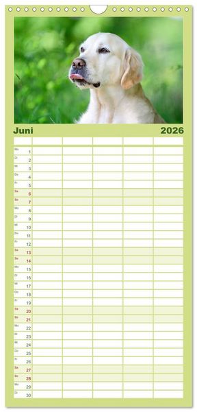 Produktbild: Familienplaner 2026 - Golden Retriever mit 5 Spalten (Wandkalender, 21 x 45 cm) CALVENDO