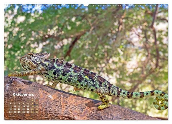 Produktbild: Cham&auml;leon: Die farbenfrohe Welt der Reptilien (Wandkalender 2027 DIN A2 quer), CALVENDO Monatskalender