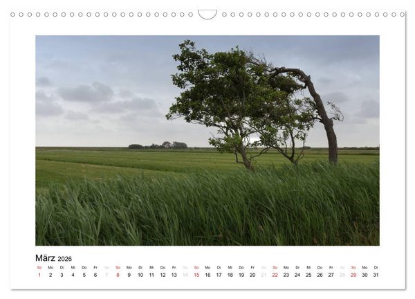 Produktbild: Die sch&ouml;ne Insel Neuwerk (Wandkalender 2026 DIN A3 quer), CALVENDO Monatskalender