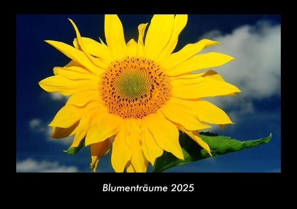 Produktbild: Blumentr&auml;ume 2025 Fotokalender DIN A3
