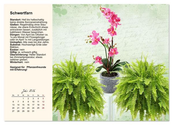 Produktbild: Bestes Raumklima durch Zimmerpflanzen (hochwertiger Premium Wandkalender 2026 DIN A2 quer), Kunstdruck in Hochglanz