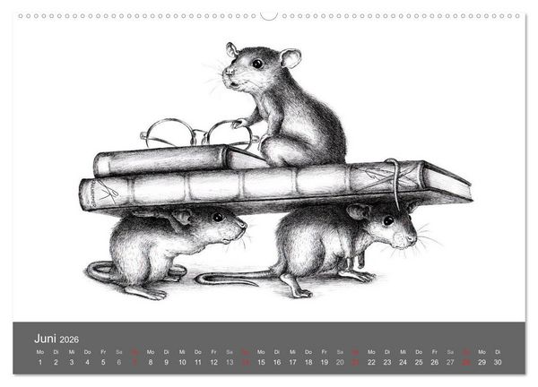 Produktbild: owls & friends 2026 (hochwertiger Premium Wandkalender 2026 DIN A2 quer), Kunstdruck in Hochglanz
