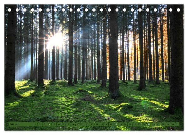 Produktbild: B&auml;ume sind Tr&auml;ume (Tischkalender 2027 DIN A5 quer), CALVENDO Monatskalender