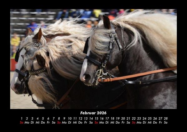 Produktbild: Die Welt der Pferde 2026 Fotokalender DIN A3