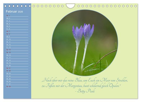 Produktbild: Flora in royalem Blau (Wandkalender 2026 DIN A4 quer), CALVENDO Monatskalender