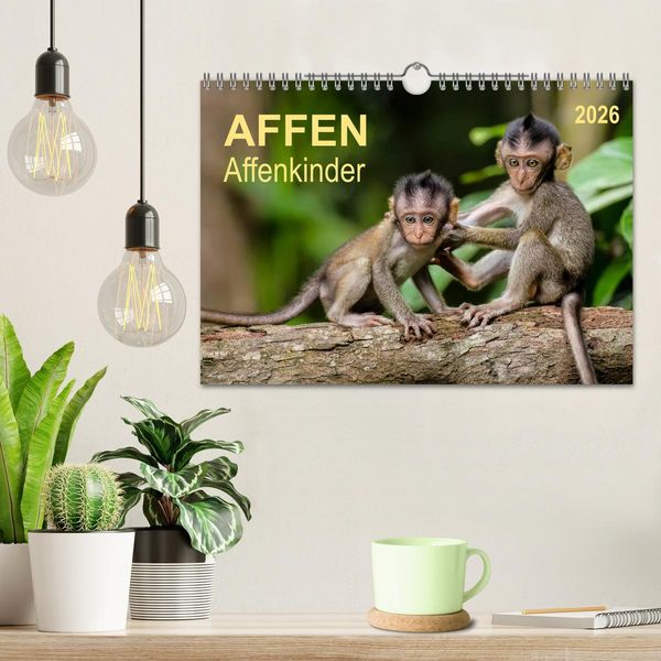 Produktbild: Affen - Affenkinder (Wandkalender 2026 DIN A4 quer), CALVENDO Monatskalender