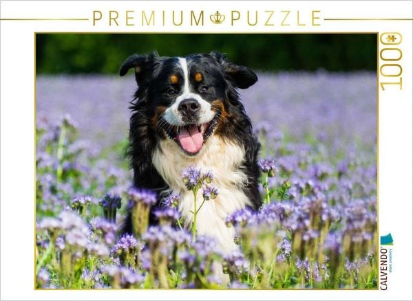 Produktbild: CALVENDO Puzzle Traumhund Berner Sennenhund | 1000 Teile Lege-Gr&ouml;&szlig;e 64x48cm Foto-Puzzle f&uuml;r gl&uuml;ckliche Stunden