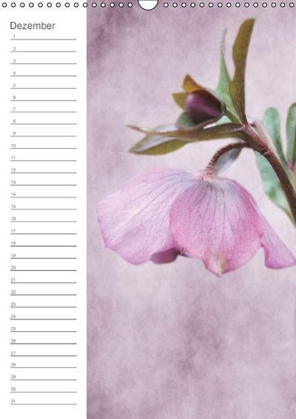 Produktbild: Zarte Bl&uuml;ten / Geburtstagskalender (Wandkalender immerw&auml;hrend DIN A3 hoch)