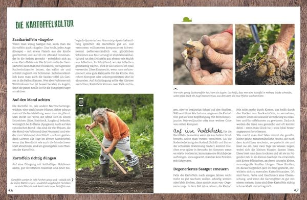 Der Selbstversorger: Mein Gartenjahr