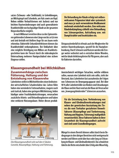 Produktbild: Die h&auml;ufigsten Nutztierkrankheiten