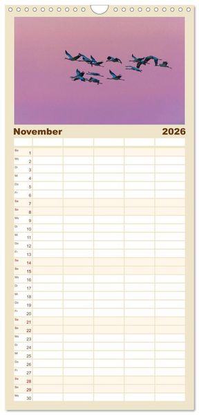 Produktbild: Familienplaner 2026 - Mit Kranichen durch das Jahr mit 5 Spalten (Wandkalender, 21 x 45 cm) CALVENDO