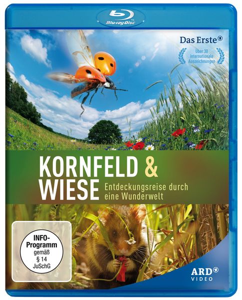 Kornfeld und Wiese - Entdeckungsreise durch eine Wunderwelt