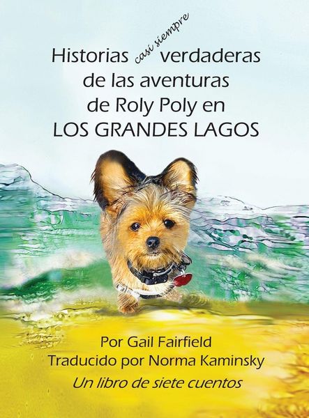 Produktbild: Historias casi siempre verdaderas de las aventuras de Roly Poly en Los Grandes Lagos