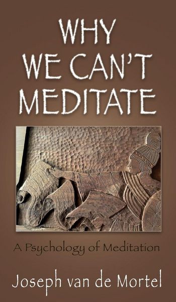 Produktbild: Why We Can't Meditate
