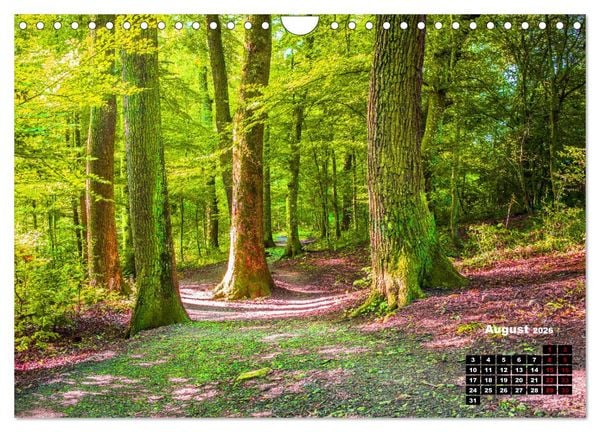 Produktbild: Rund um den Sch&ouml;nbuch (Wandkalender 2026 DIN A4 quer), CALVENDO Monatskalender