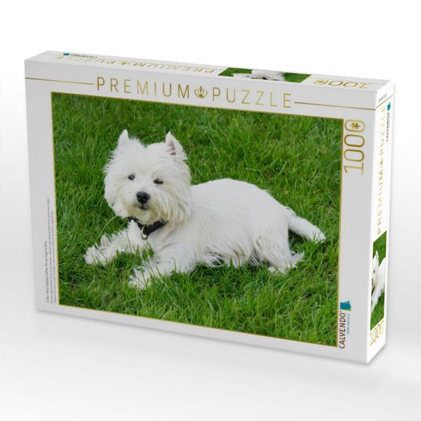 Produktbild: CALVENDO Puzzle S&uuml;&szlig;er West Highland White Terrier liegt im Gras | 1000 Teile Lege-Gr&ouml;&szlig;e 64x48cm Foto-Puzzle f&uuml;r gl&uuml;ckliche Stunden