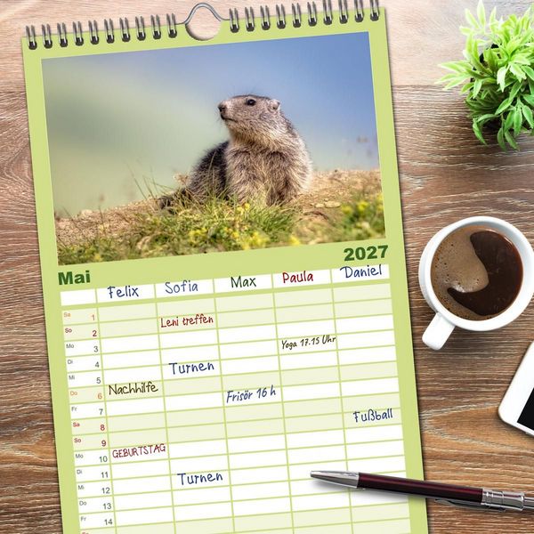 Produktbild: Familienplaner 2027 - Tiere der Alpen - Murmeltier-Kinder mit 5 Spalten (Wandkalender, 21 x 45 cm) CALVENDO