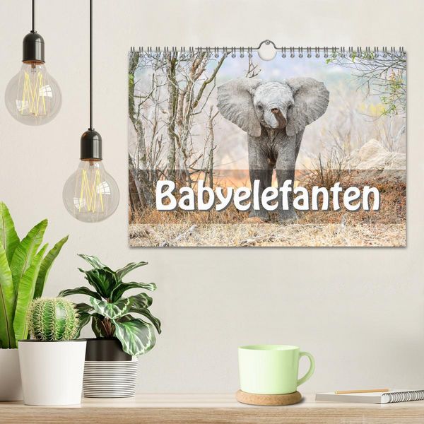 Produktbild: Babyelefanten (Wandkalender 2026 DIN A4 quer), CALVENDO Monatskalender
