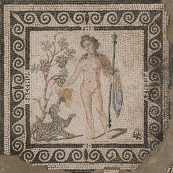 The Frenzy of Bacchus