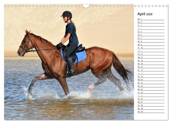 Produktbild: Mein Reitsport Kalender (Wandkalender 2026 DIN A3 quer), CALVENDO Monatskalender