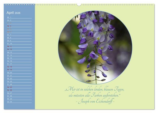 Produktbild: Flora in royalem Blau (Wandkalender 2026 DIN A2 quer), CALVENDO Monatskalender