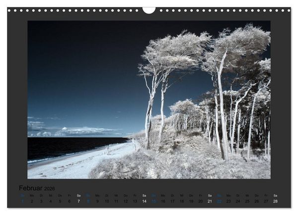 Produktbild: Surreale Landschaften. INFRARROT - Wenn gr&uuml;n zu wei&szlig; wird (Wandkalender 2026 DIN A3 quer), CALVENDO Monatskalender