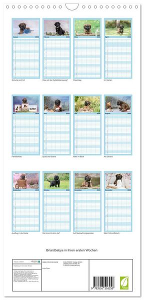Produktbild: Familienplaner 2026 - Briardbabys in ihren ersten Wochen mit 5 Spalten (Wandkalender, 21 x 45 cm) CALVENDO